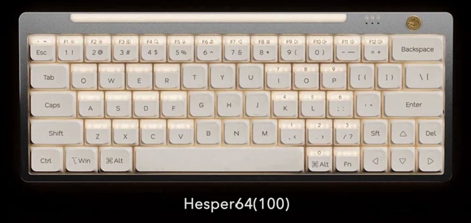 Nics Hesper64(100)